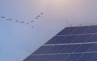 Tiny Home Off Grid Solar System